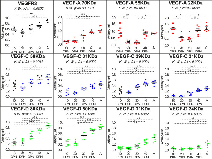 Figure 5—figure supplement 1.