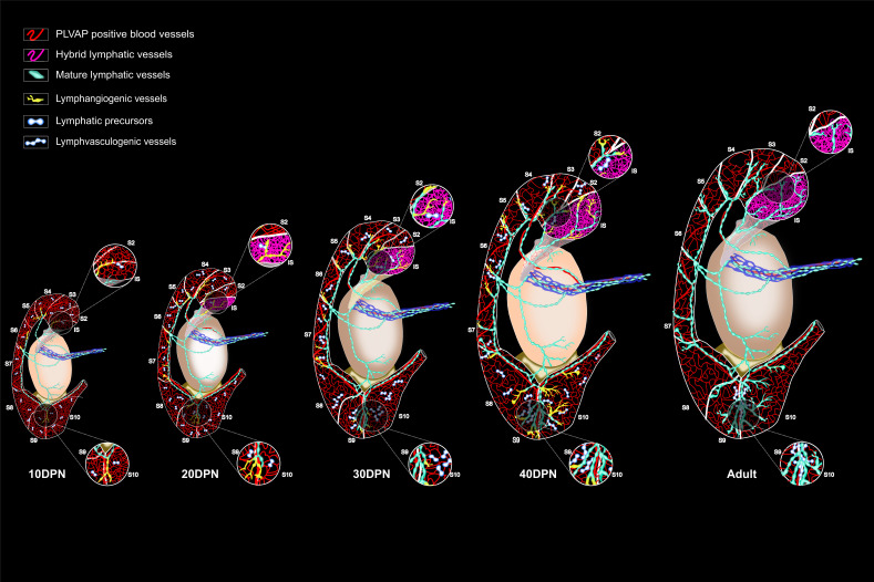 Figure 10.