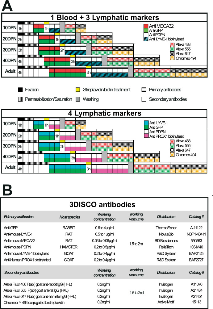 Figure 11.