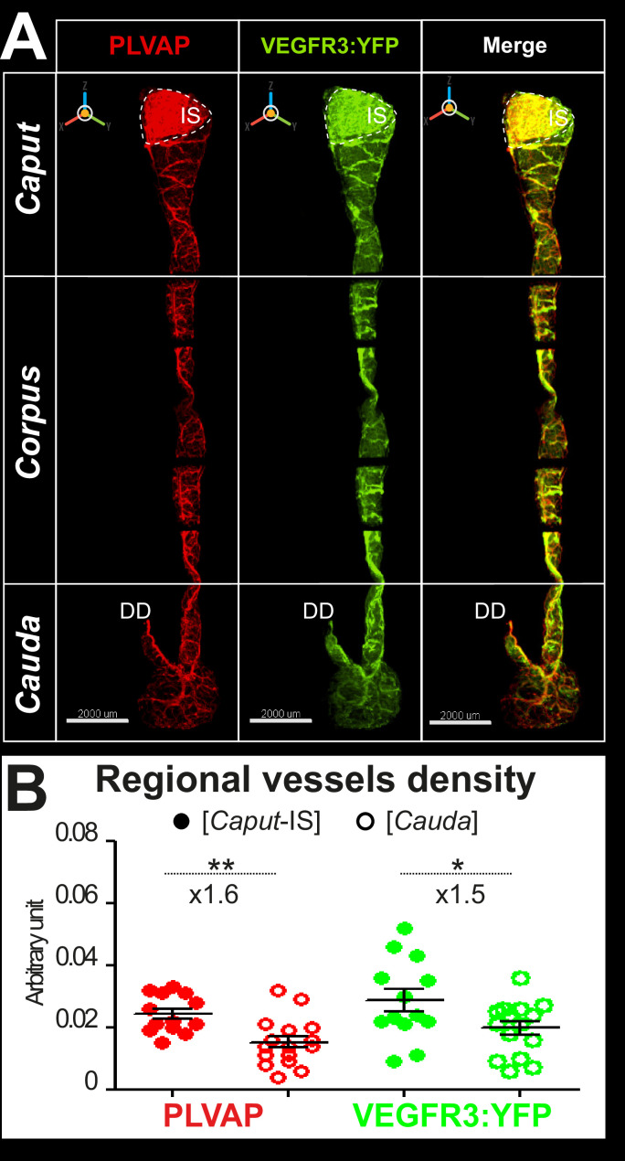 Figure 2—figure supplement 2.