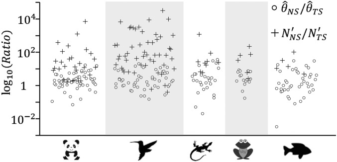 Fig. 4.