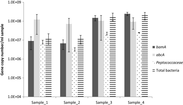 Fig. 4