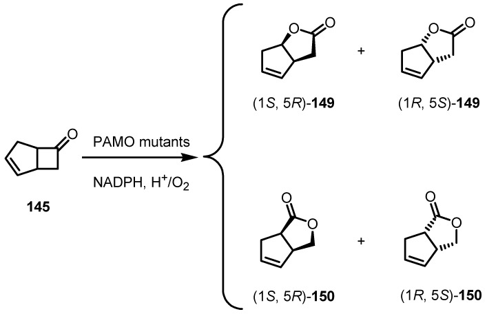 Scheme 40