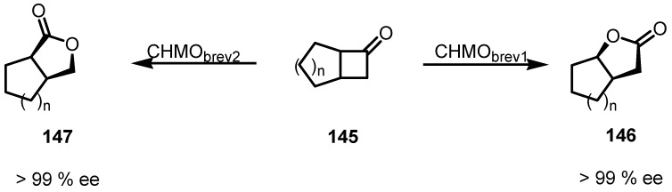 Scheme 39