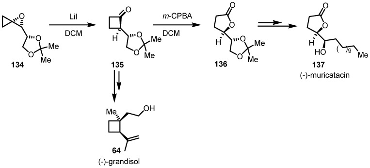 Scheme 37