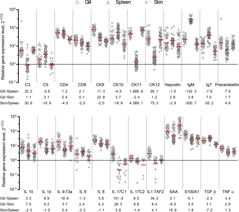 Fig 2