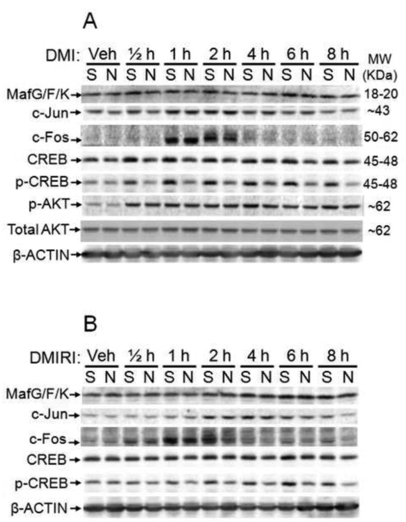 Figure 9