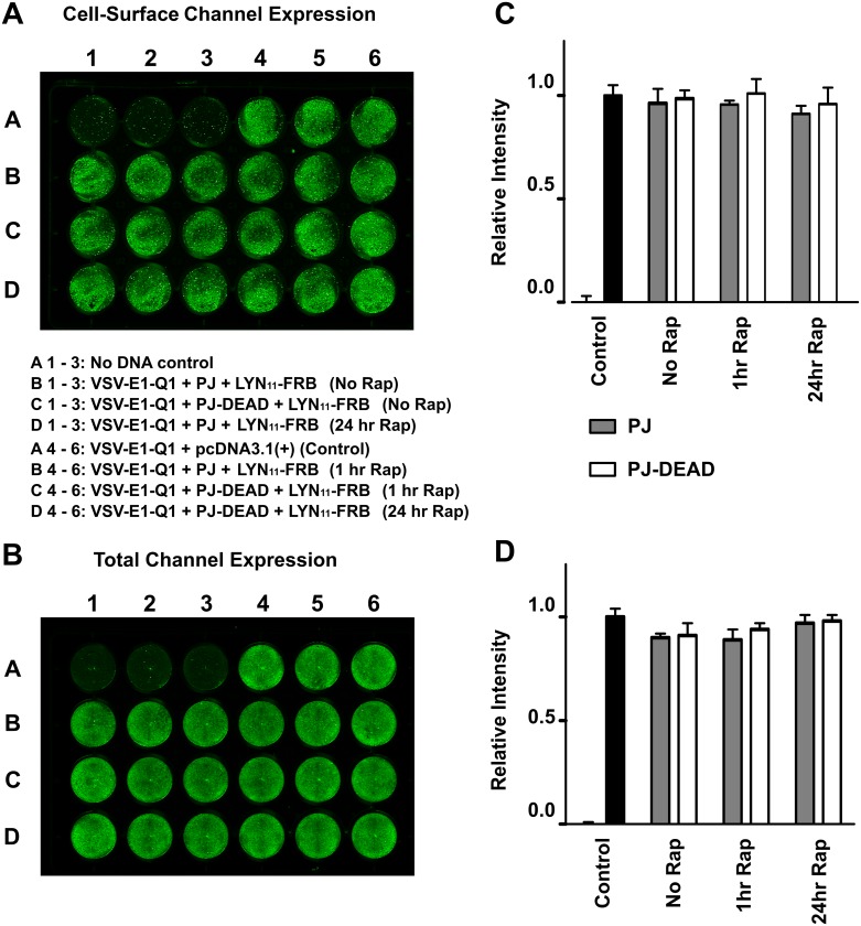 Fig 6