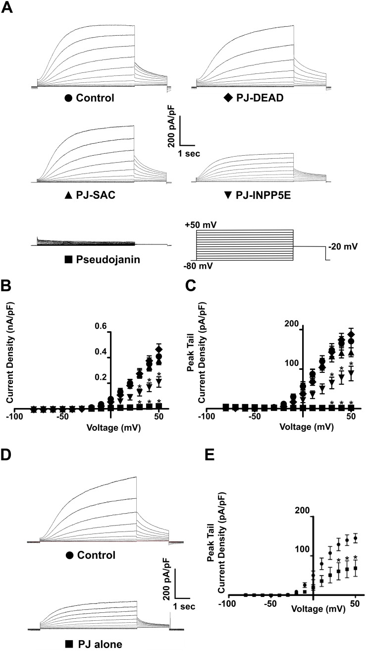 Fig 4