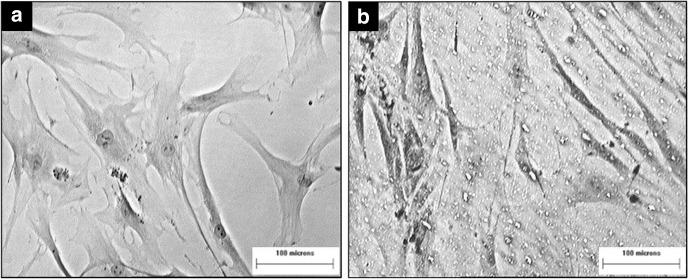 Fig. 6