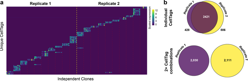 Fig. 3 |