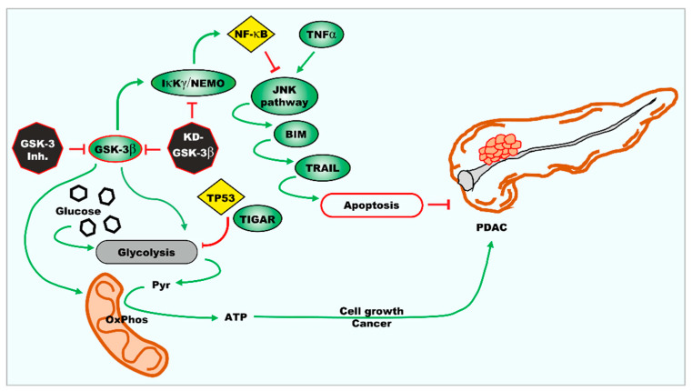 Figure 16