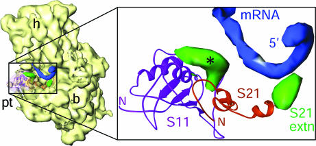 Fig. 3.