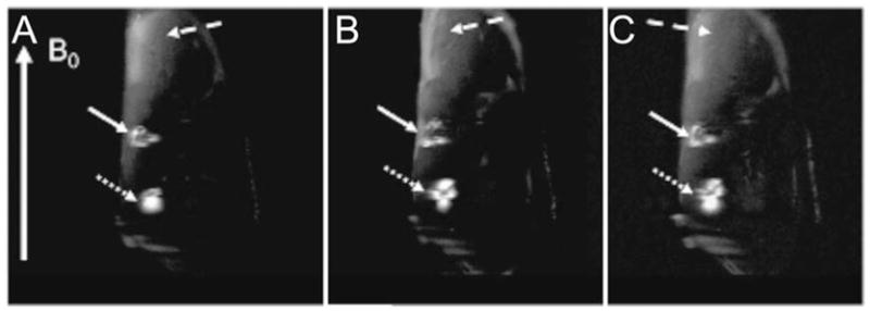 Fig. 10.4