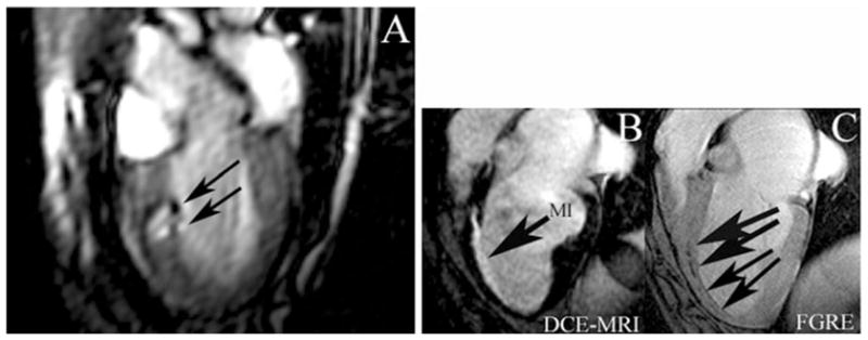 Fig. 10.3