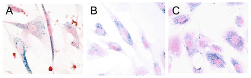 Fig. 10.1