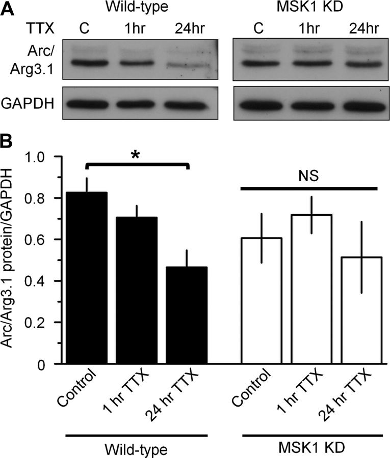 Figure 10.