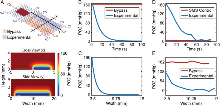 FIG. 1.