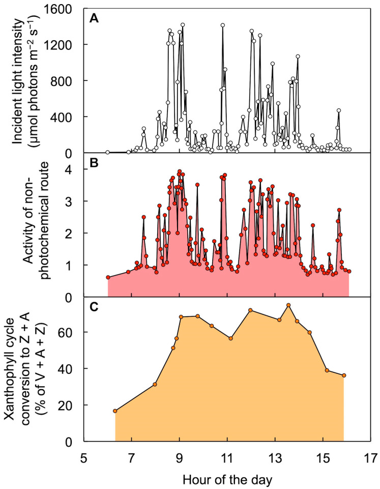 Figure 11