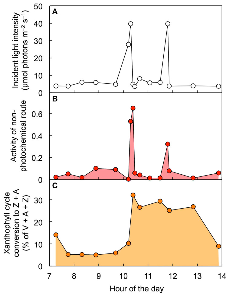 Figure 10