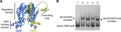 FIG. 6.