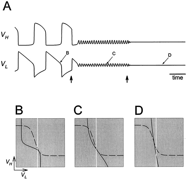 Fig. 8.