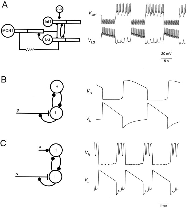 Fig. 1.