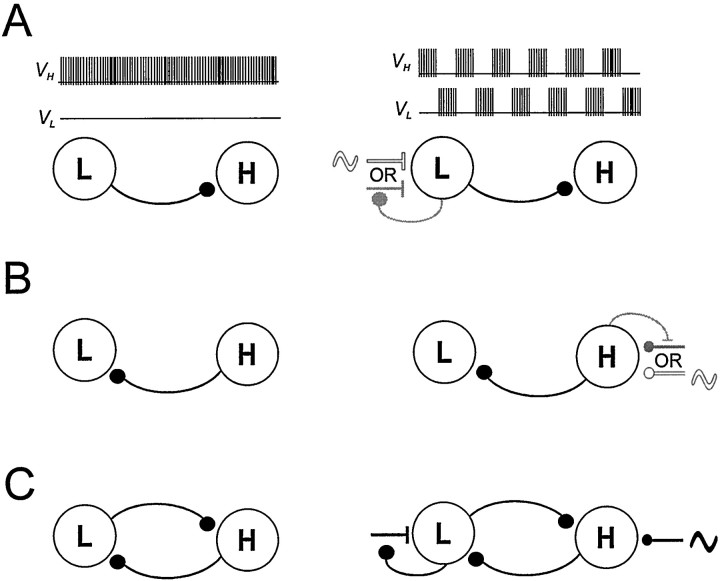 Fig. 12.