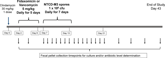 FIG 3