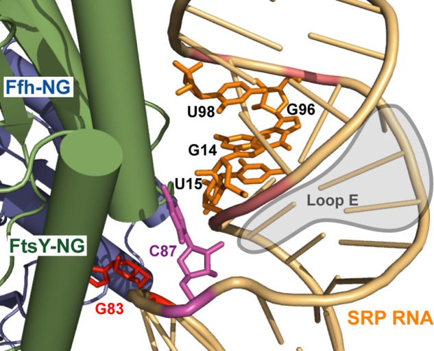 FIGURE 15.