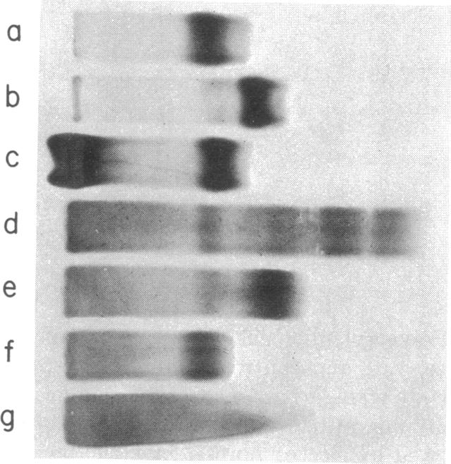 graphic file with name pnas00056-0334-a.jpg