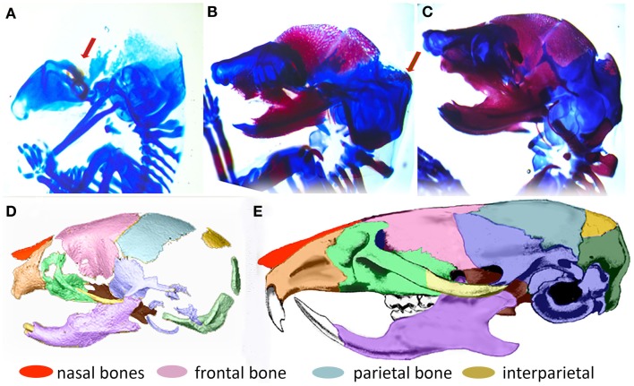 Figure 2