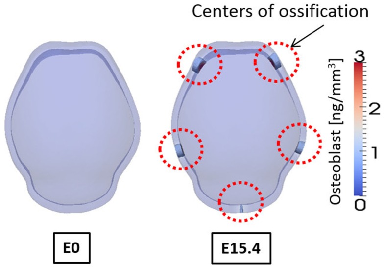 Figure 10