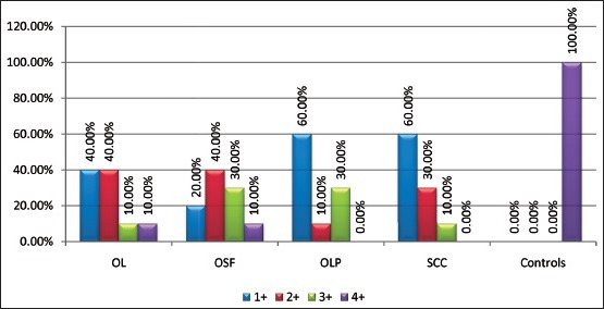 Graph 3