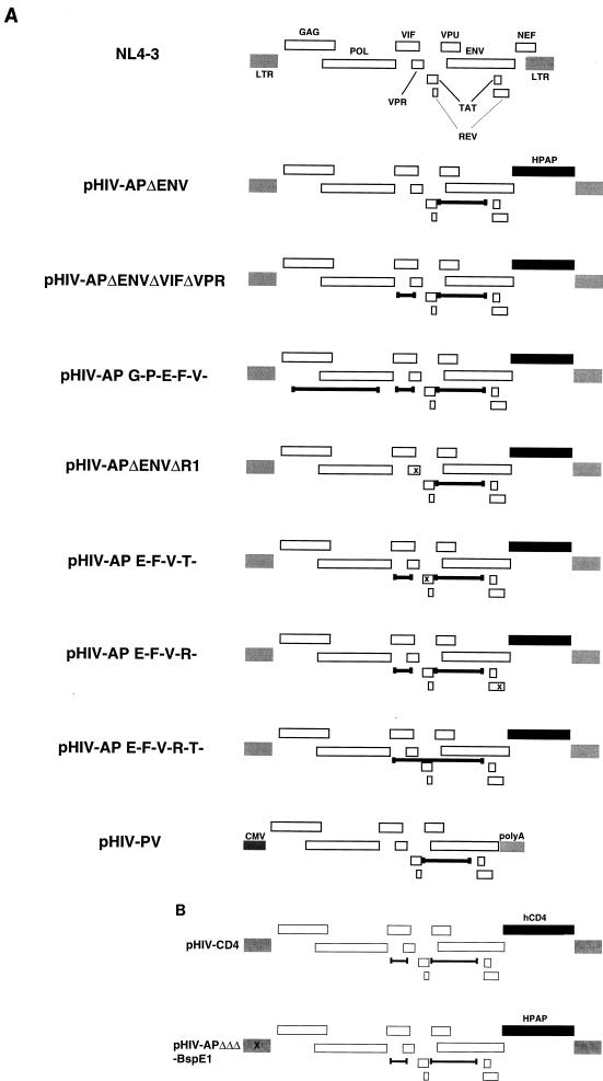 FIG. 1