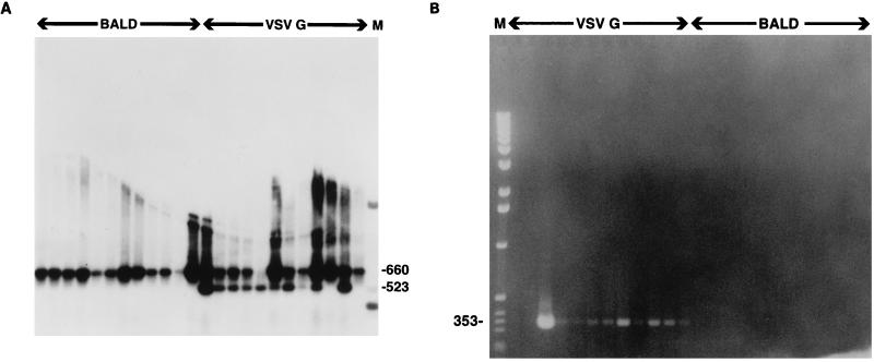 FIG. 8