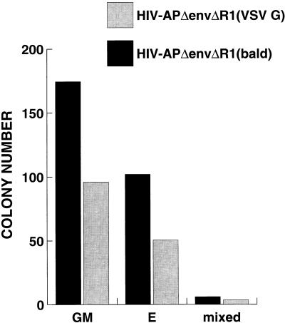 FIG. 6