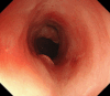 Fig. 8