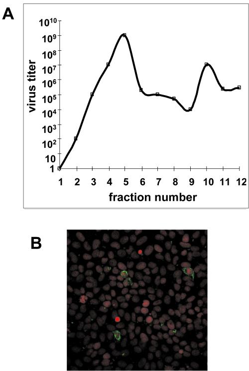 FIG. 8.