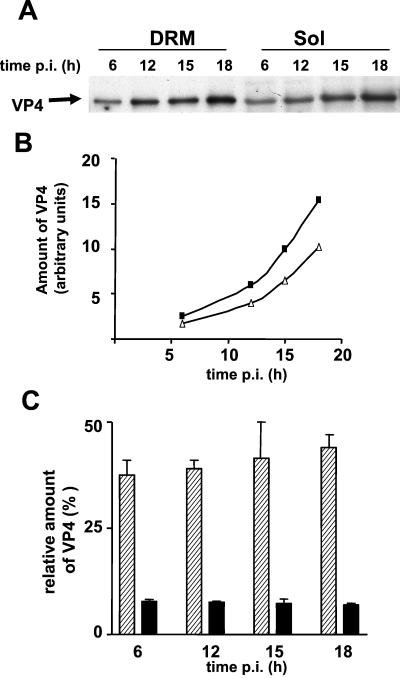 FIG. 5.