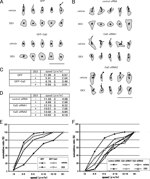 FIGURE 10.