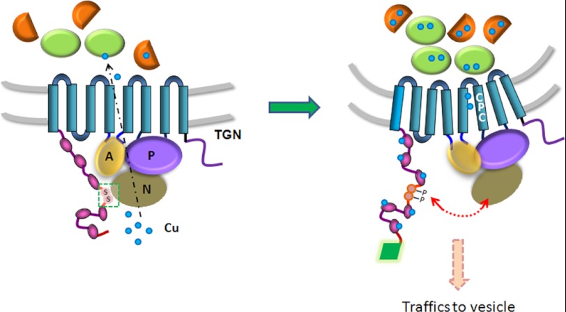 FIGURE 11.