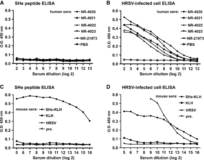 Protection and mechanism of action of a novel human respiratory ...