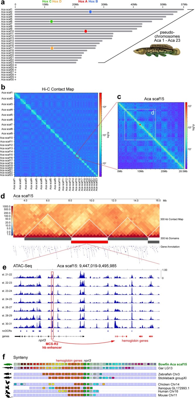 Extended Data Fig. 1