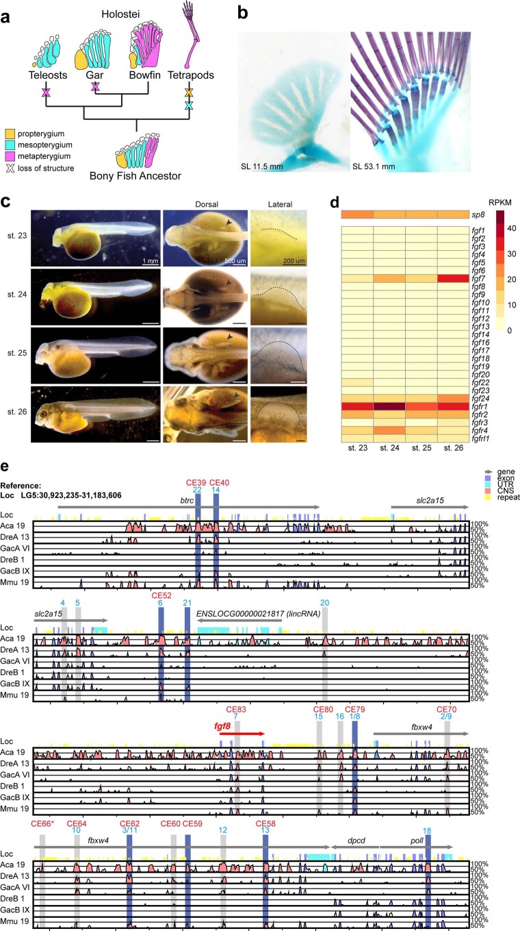 Extended Data Fig. 5