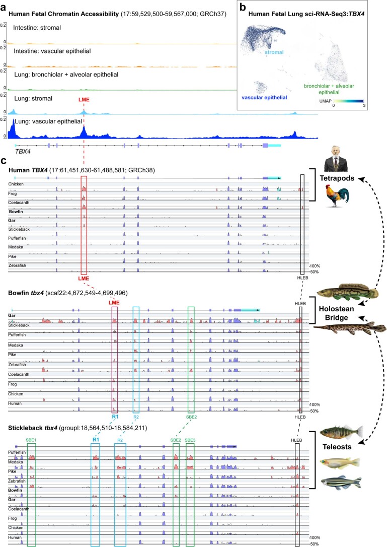 Extended Data Fig. 4