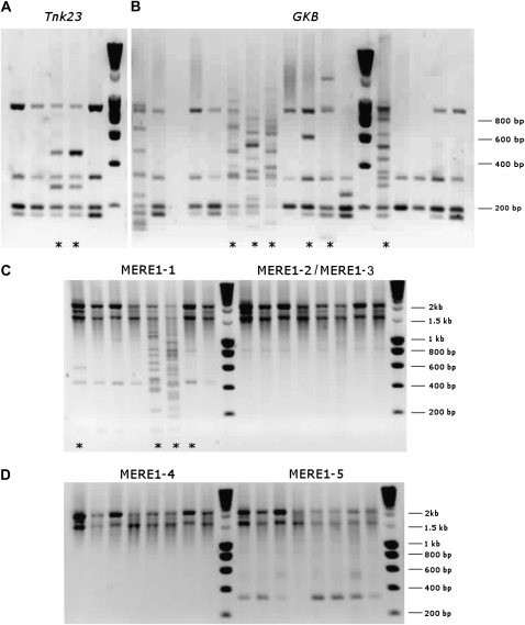 Figure 5.