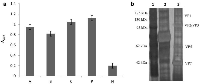 Fig. 1