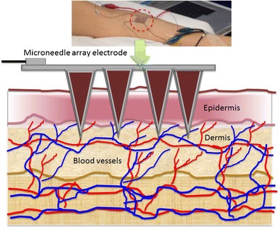 Graphical Abstract