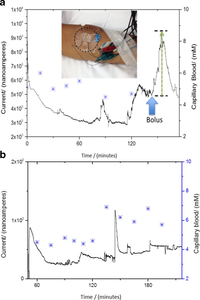 Fig. 8